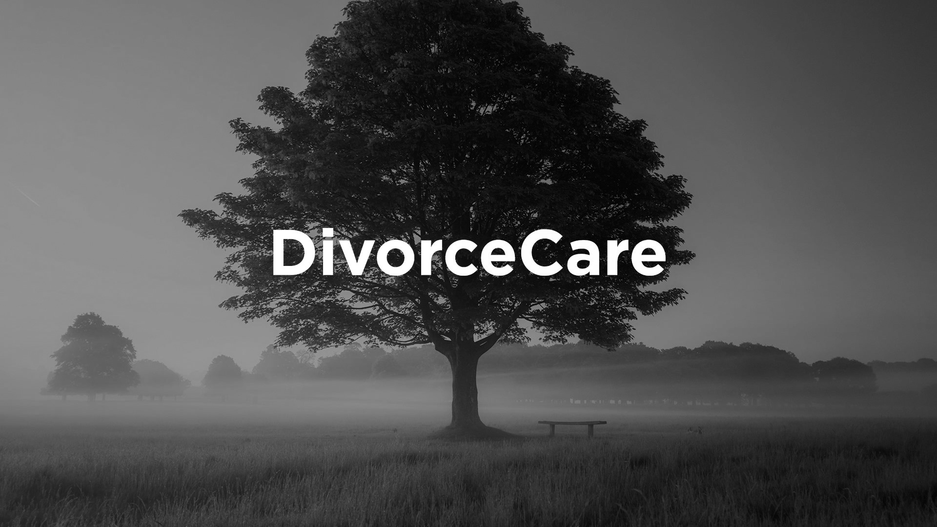 DivorceCare