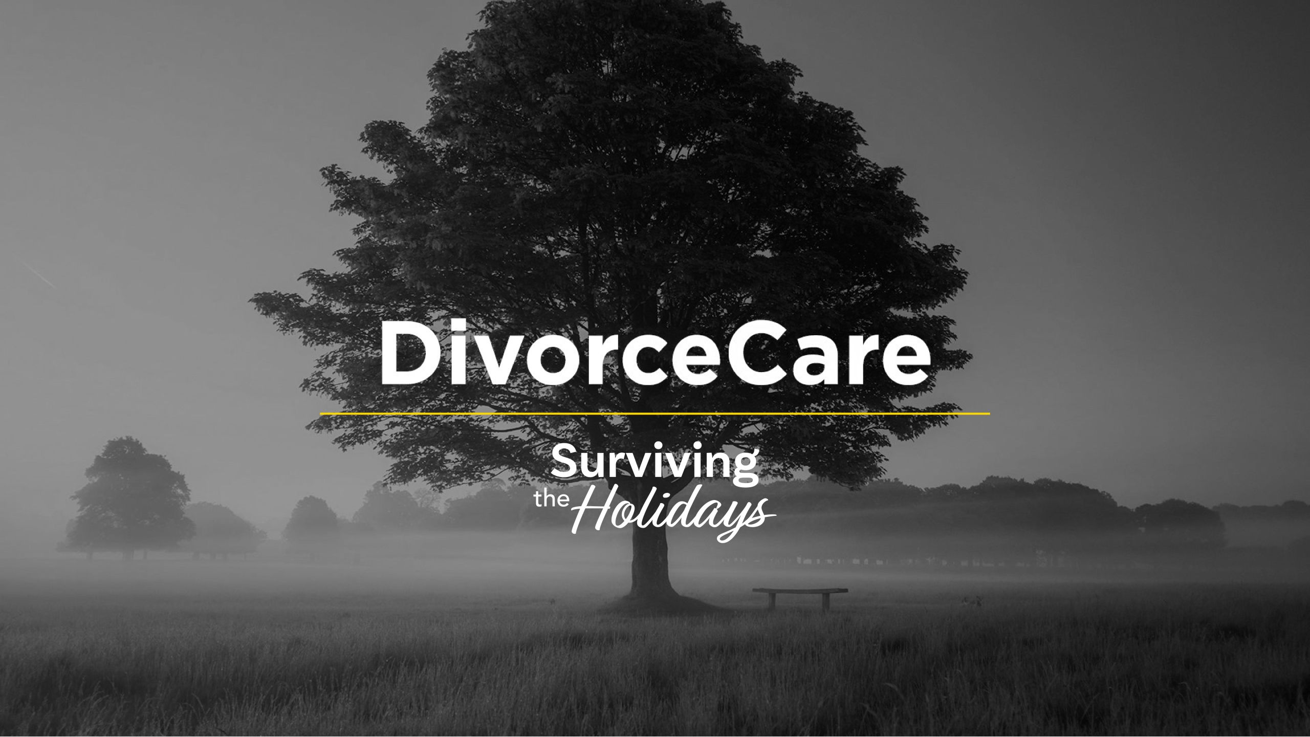 DivorceCare Look scaled